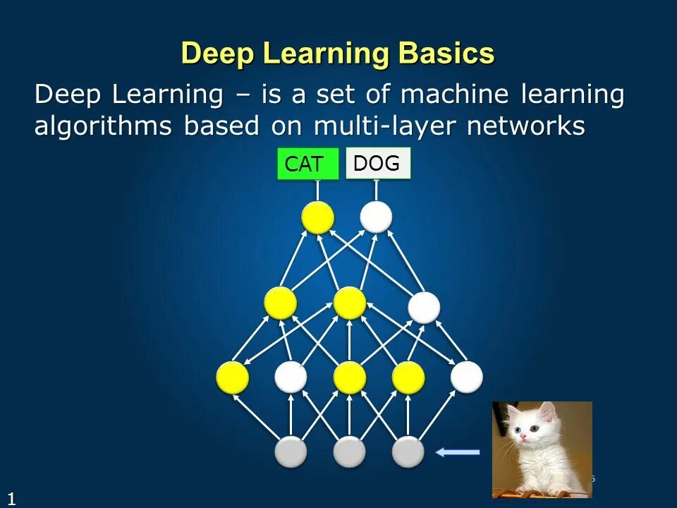 Deep learning. Презентация deep learning. нейронная сеть кошка. deep learning актуальность.