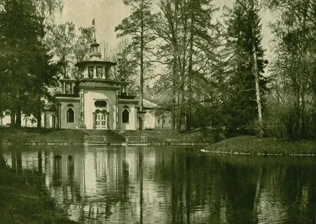 Царское село чаща