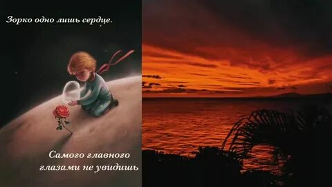 Каких не увидишь