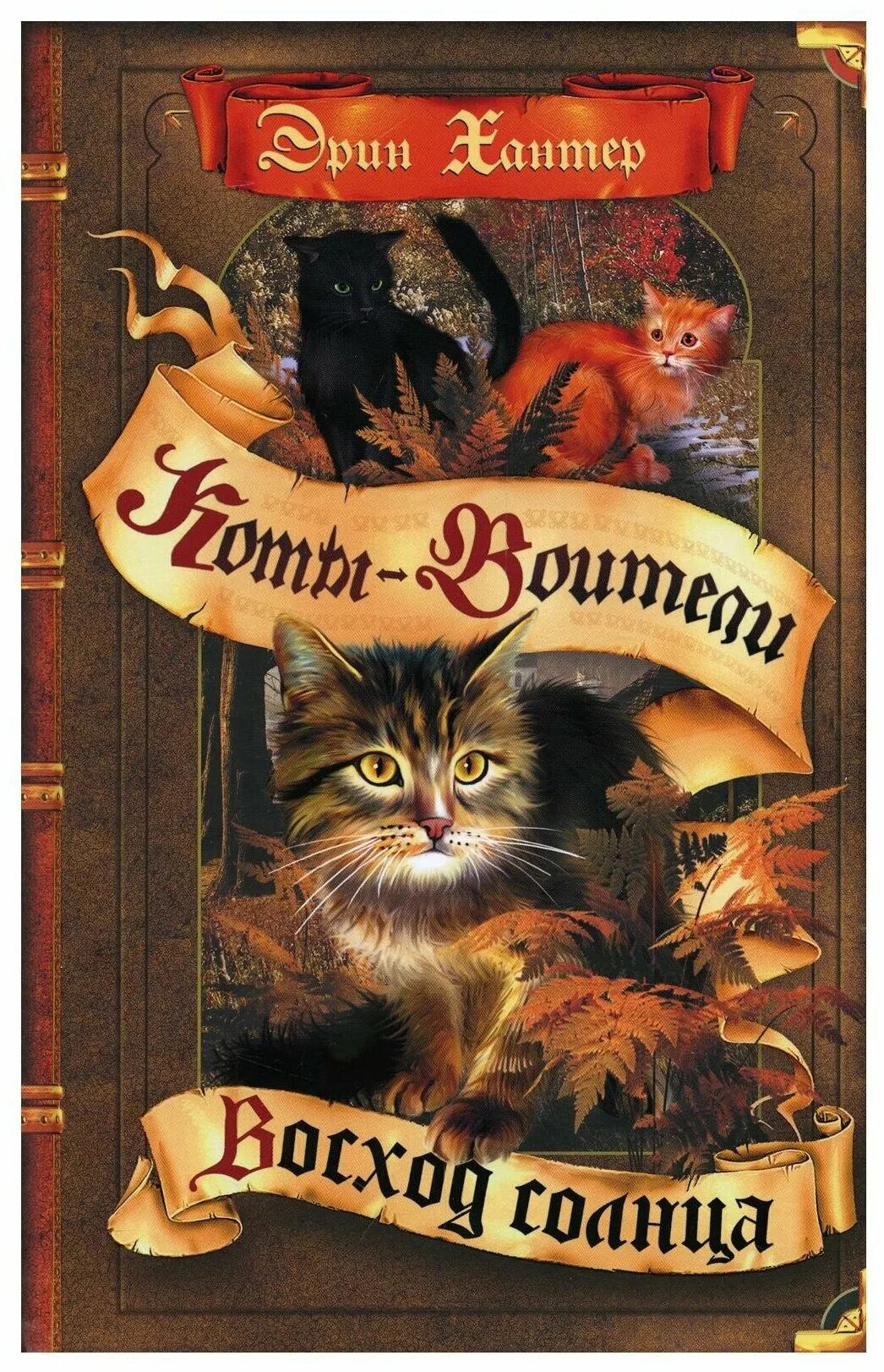 кошка на рассвете. кот на море. котенок на закате. котенок на закате. кошка на рассвете.