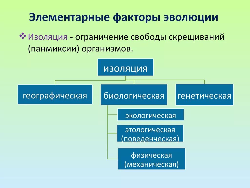 Элементарные факторы эволюции. Элементарные эволюционные факторы. Элементарные революционные факторы. Элементарные факторы эволюции это в биологии.