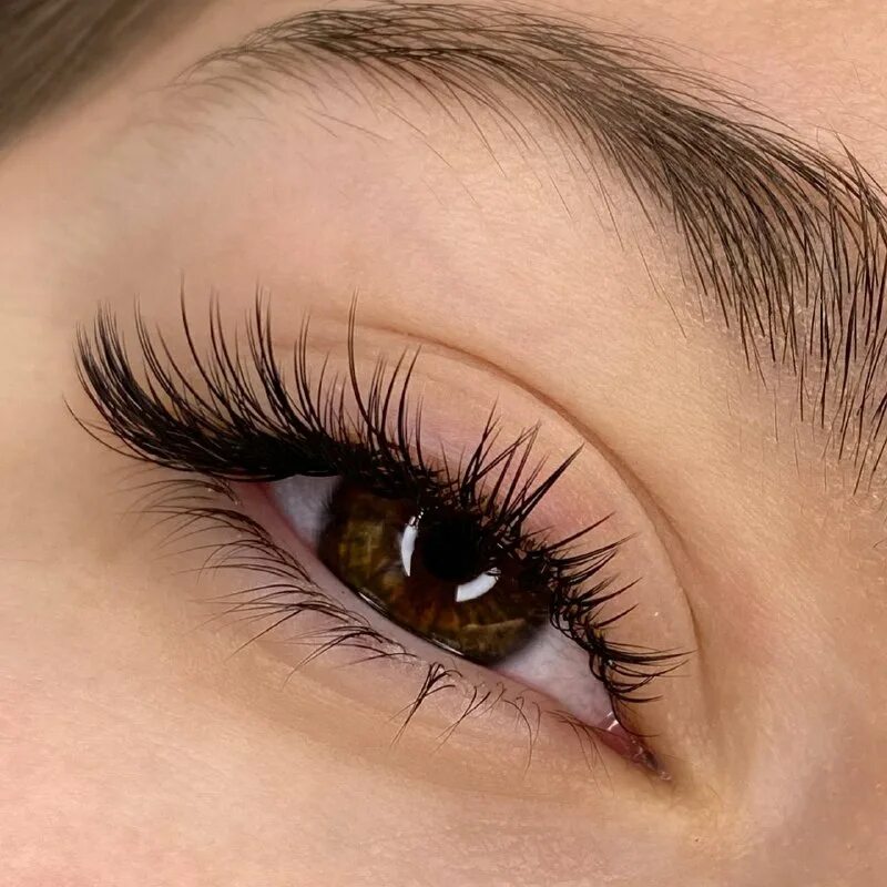наращивание ресниц солнцево. наращивание ресниц солнцево. ресницы наращивание носка ресниц. наращивание ресниц солнцево. наращивание ресниц солнцево.