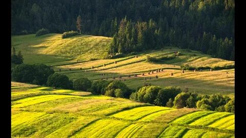 Польша климат