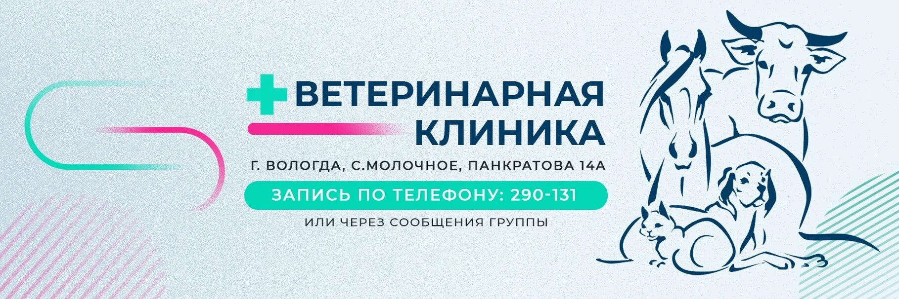 Г Вологда ветеринарные клиники. Молочное Вологодская область ветеринарная. Вологодский ветеринарный центр Вологда. Цибулин Вологда ветеринарная клиника.