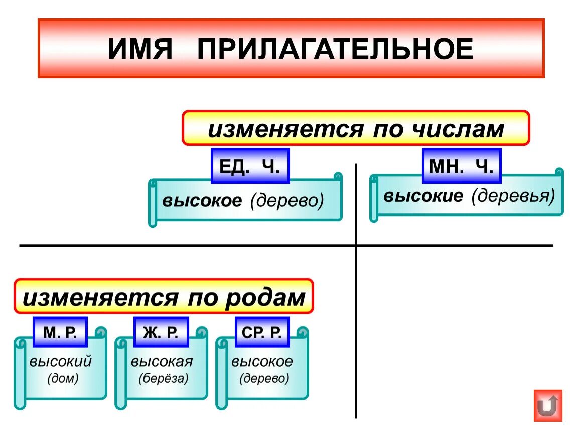 5 класс что изменится. Как изменяется имя прилагательное по родам. Имя прилагательное изменяется по родам и числам 2 класс. Как изменяется имя прилагательное 3 класс. Имена прилагательные изменяются по родам числам и падежам.