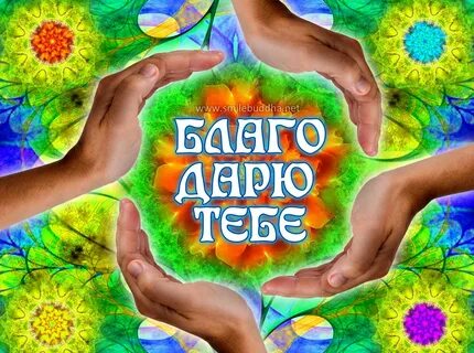 Всемирный день щедрости
