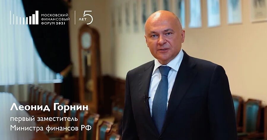 Горнин Леонид Владимирович - Министерство финансов - Биография
