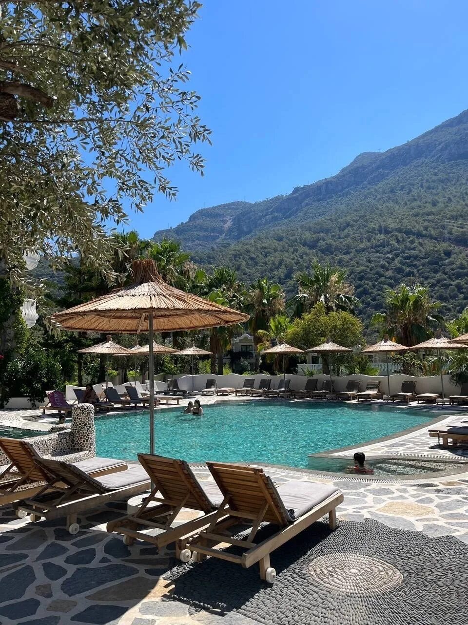 Flamingo hotel oludeniz. Liberty Fabay 5 Фетхие. Balmy Resort Kemer. Balmy Beach Resort Kemer 4. Отель Фламинго Олюдениз Турция.