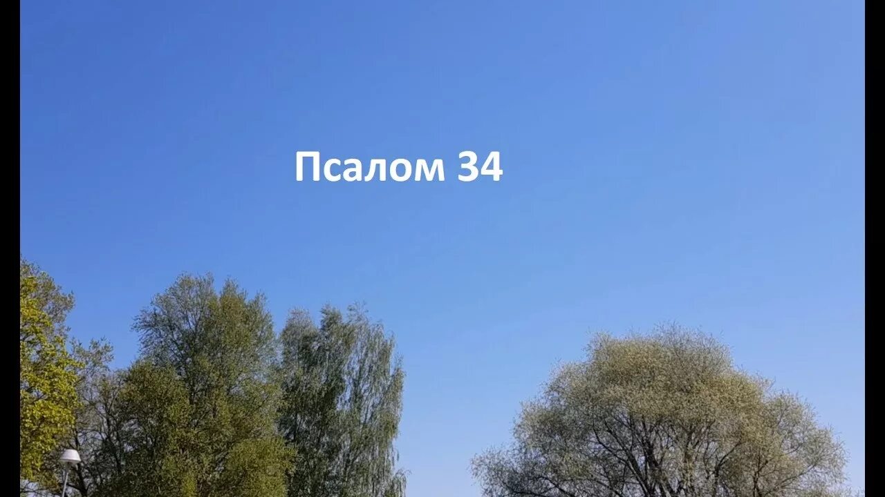 Псалом 34. Псалмы 34:11. Псалом Давида 34. Псалом 34:10. Псалом 34 слушать 40 раз