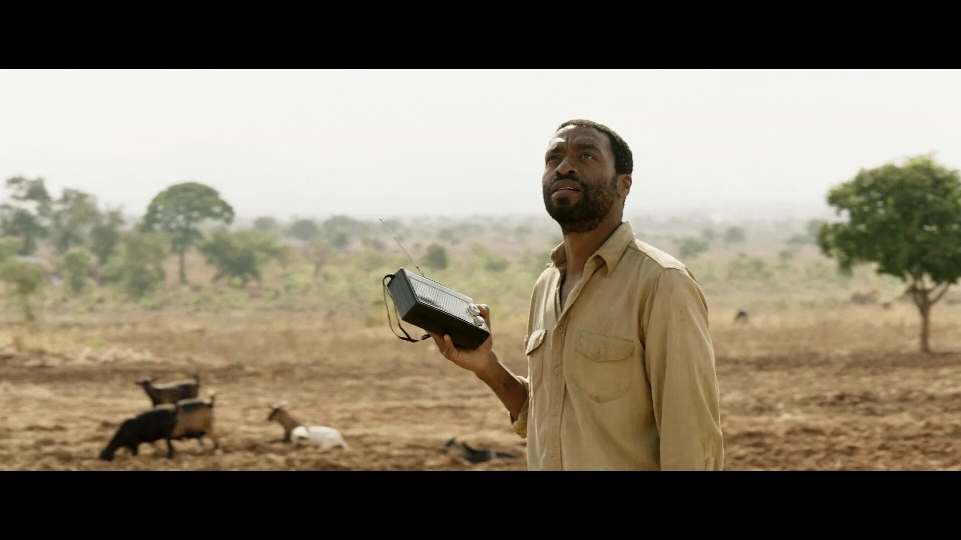 The boy who harnessed the wind