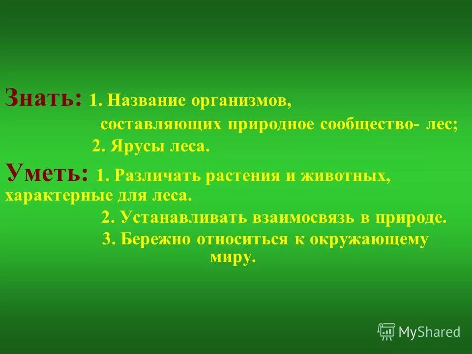 Название лесного сообщества. Организмы сообщества леса. Какие организмы составляют сообщество жизнь леса. Какие организмы составляют сообщество жизнь леса. Какие организмы составляют сообщество.