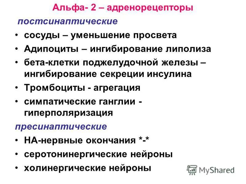 Альфа и бета адренорецепторы. Альфа 1 Альфа 2 бета 1 бета 2 адренорецепторы. Эффекты Альфа 2 адреномиметиков. Эффекты активации Альфа 2 адренорецепторов. Пресинаптические бета 2 адренорецепторы.