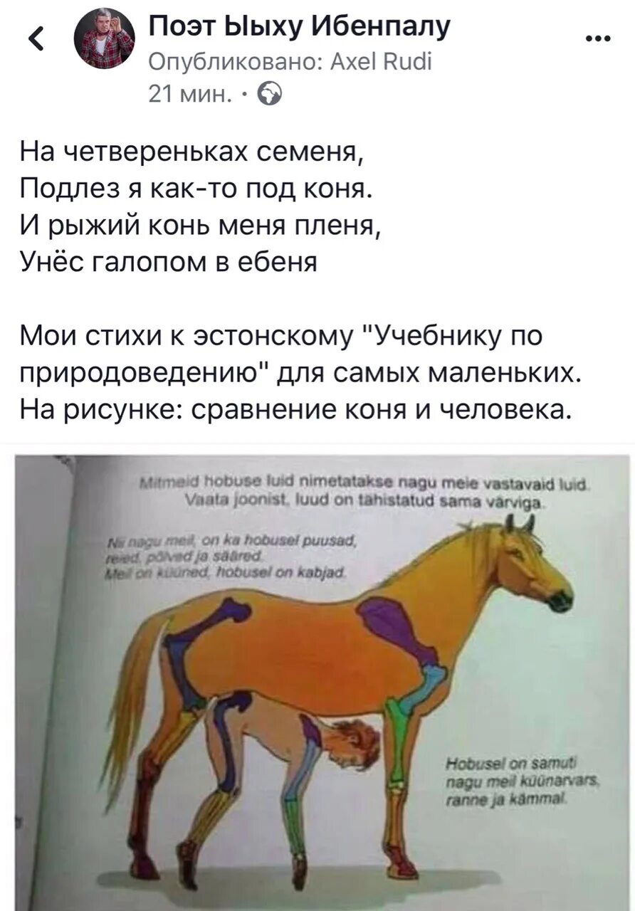 Если б имел коня. Если я имел коня это был бы. Если бы я имел коня это был бы номер. Конь имел меня. Если б я имел коня это был