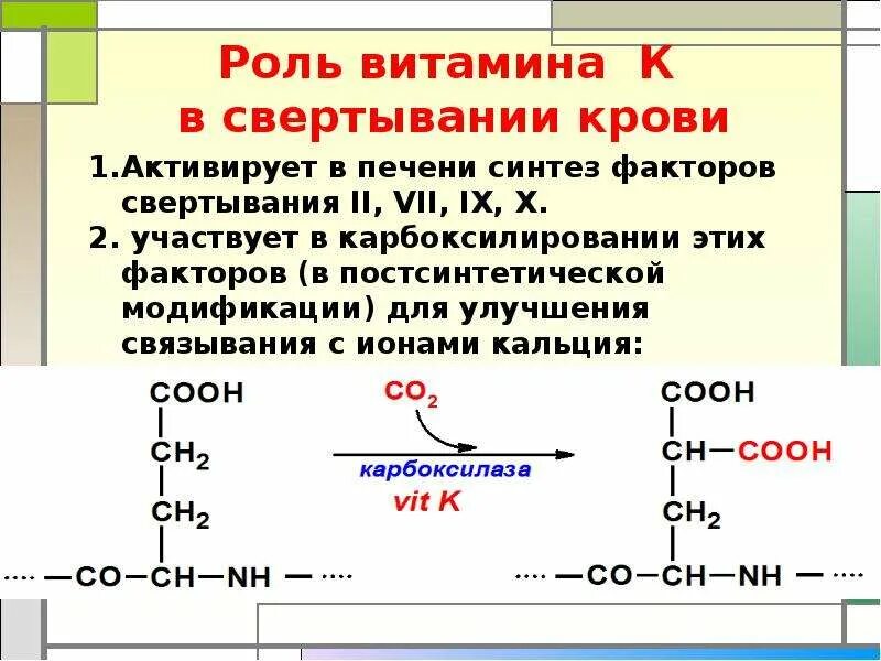 Свертывание крови печень. Роль печени в свертывании крови. Витамины биохимия. Синтез факторов свертывания в печени. Факторы свертывания синтезируемые в печени.