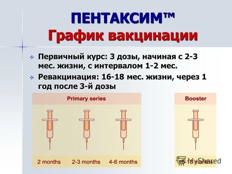 Пентаксим сколько держится температура