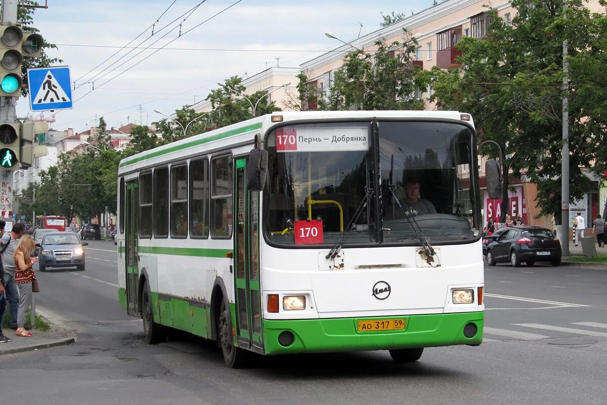 Автобус 170 остановки. Маршрут 170 автобуса Добрянка Пермь. 170 Автобус Добрянка Пермь. Добрянка автостанция. Маршрут 170 Добрянка Пермь.