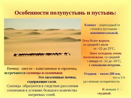 Природная зона между степью и пустыней