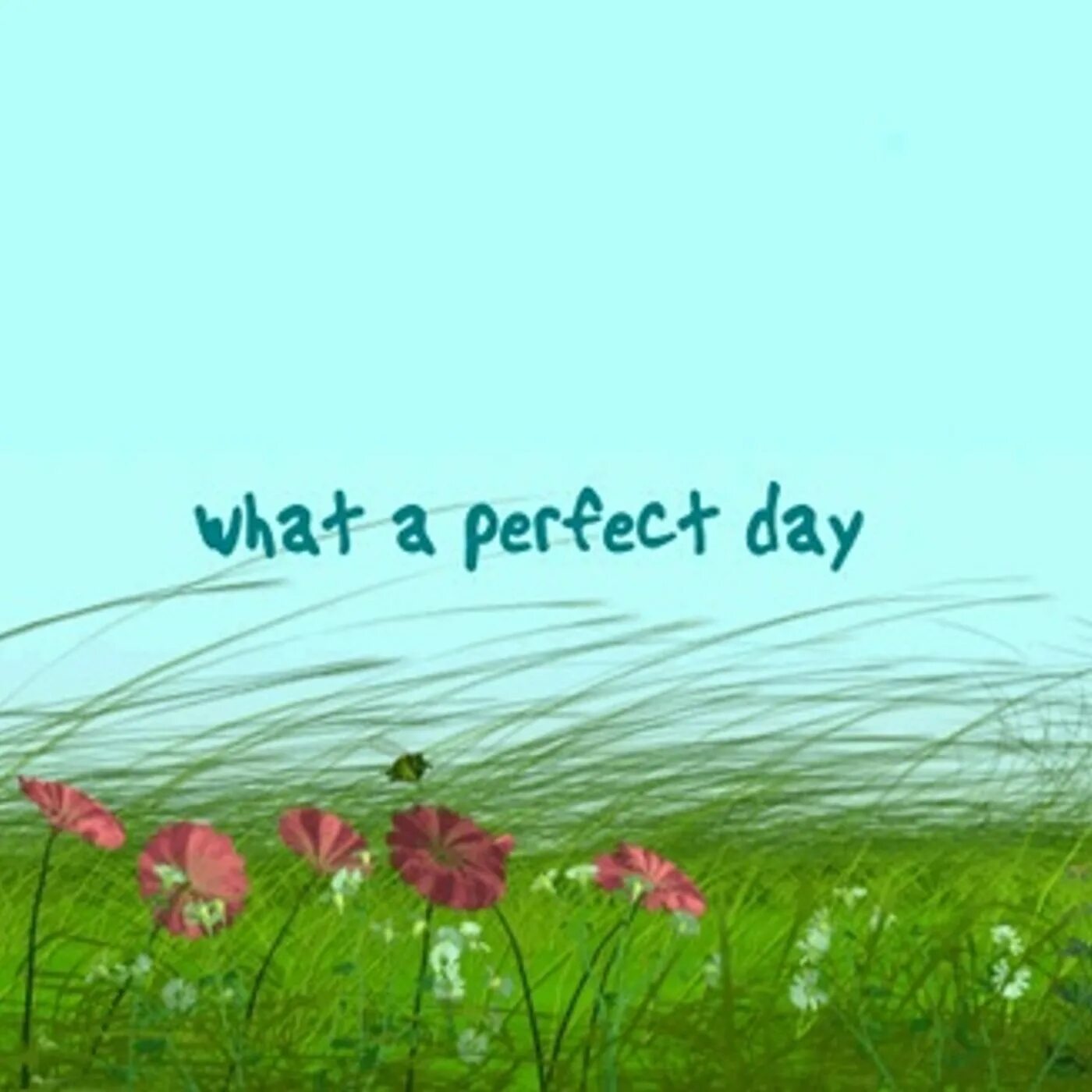 Every day perfect. Перфект дей. My perfect Day. My perfect Day фото. My perfect Day 6 класс.