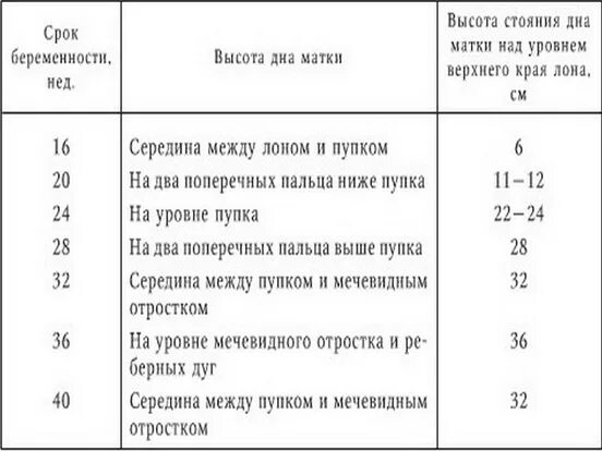 Высота стояния дна матки по неделям таблица при беременности норма. Определение срока беременности по высоте стояния дна матки. Высота стояния дна матки в различные сроки беременности. Высота стояния дна матки по неделям таблица при беременности. Матка на 35 неделе беременности