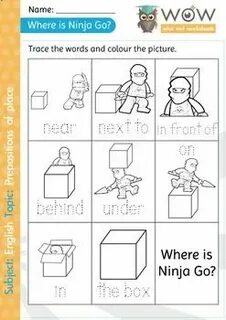 Write the words under the picture