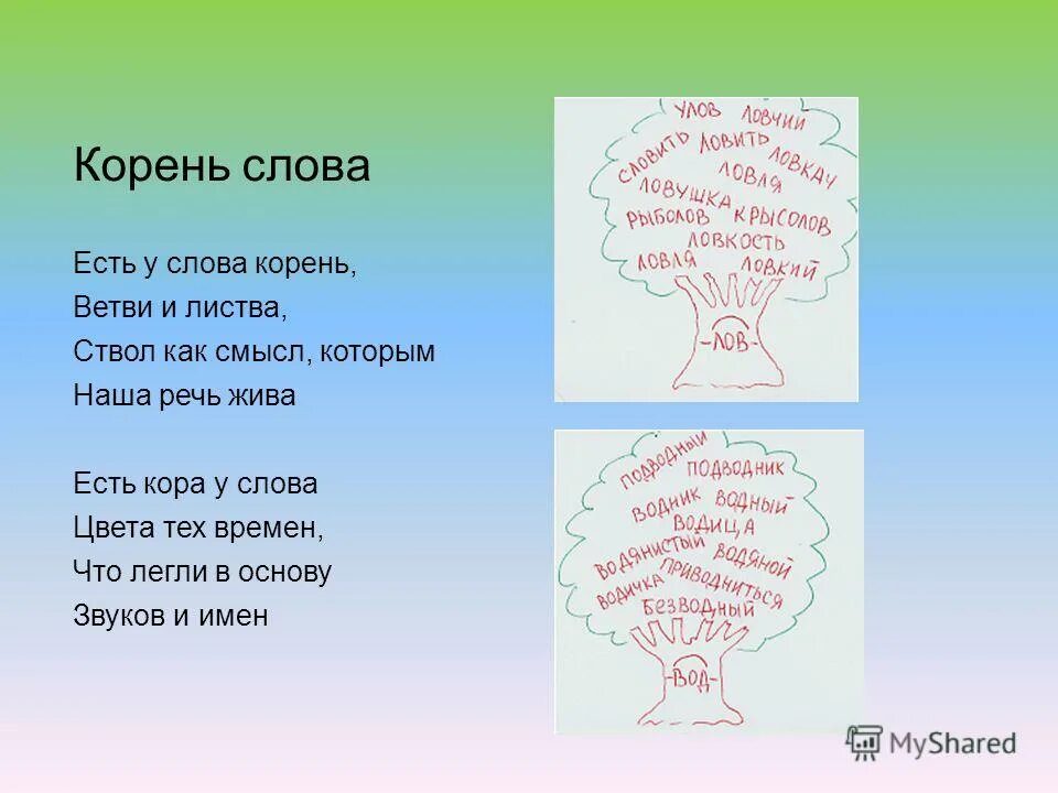 Корень слова. О А В корне слова. Корень слова слова. Корень слова корень. Корень слова мама