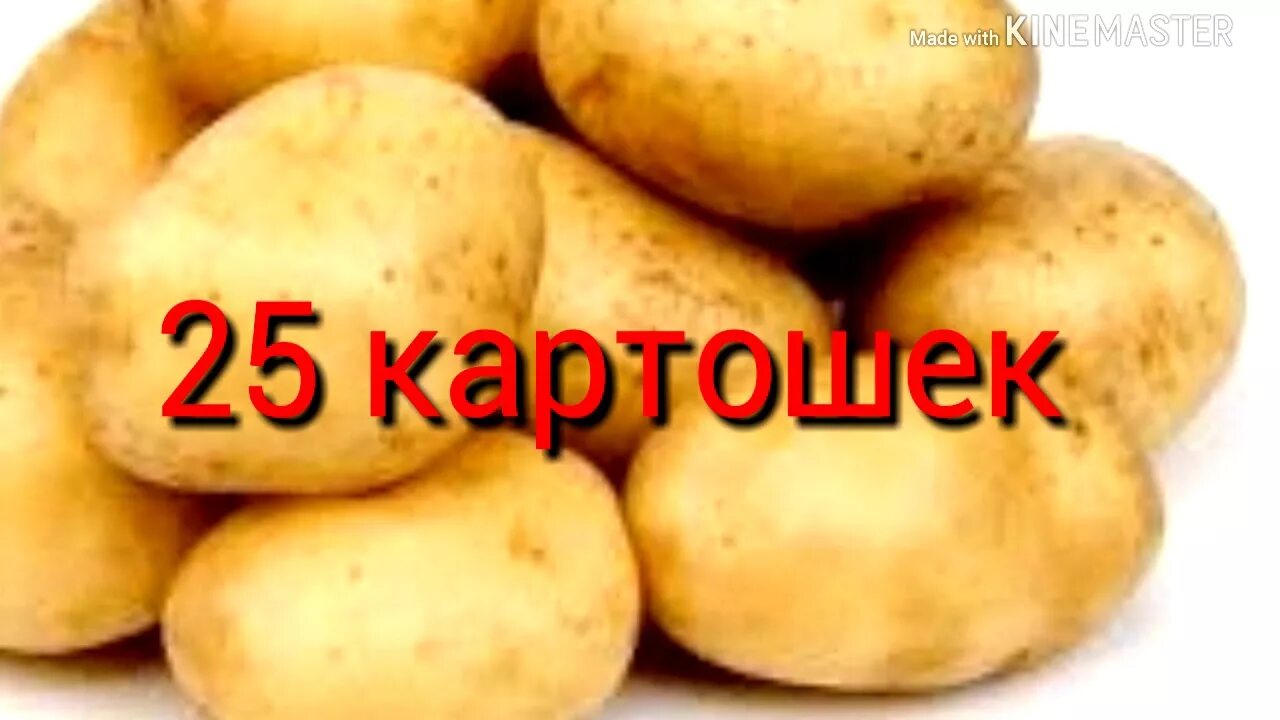 Рецепт берем кошачью