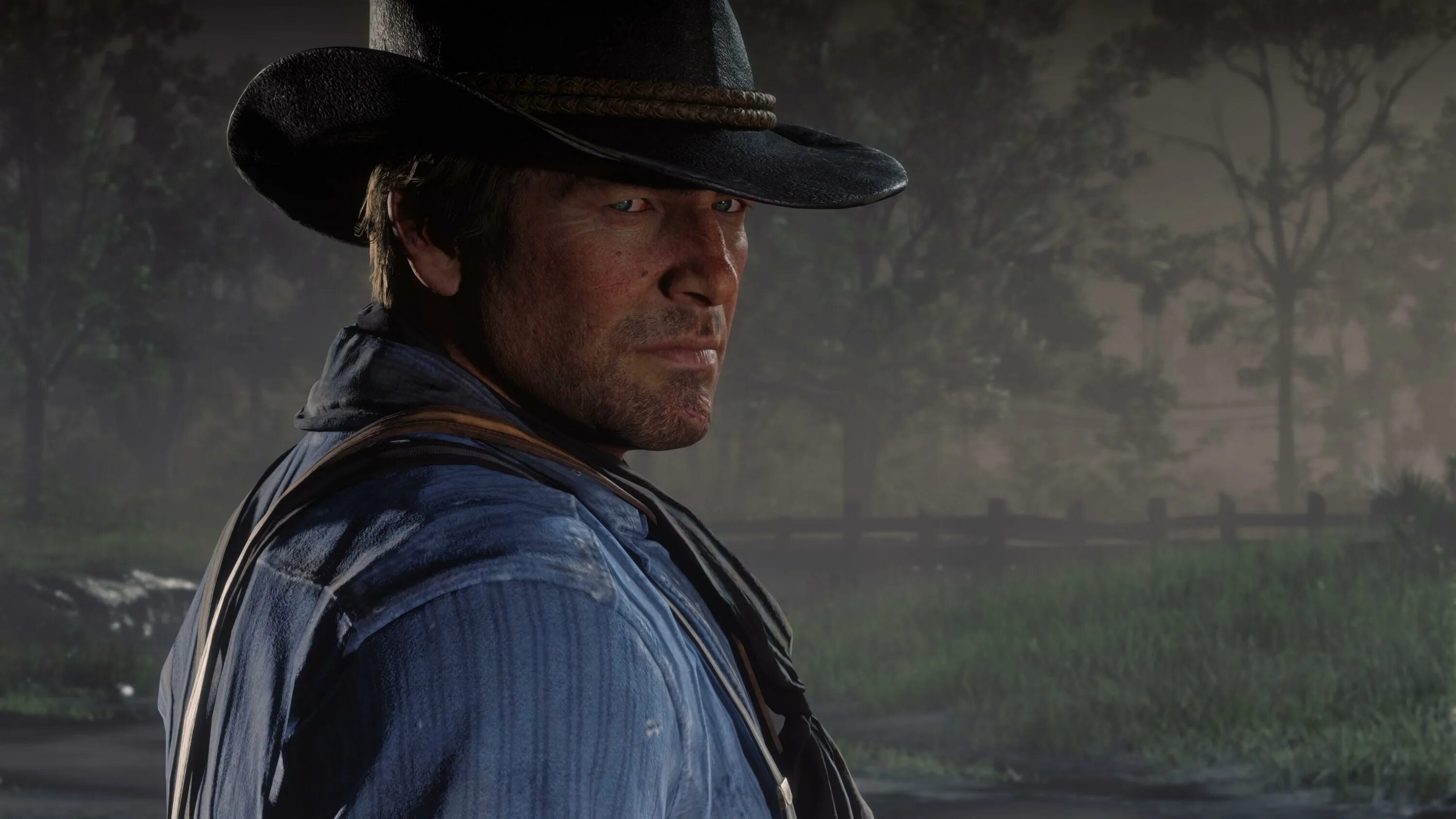 Red dead redemption шляпы. Red dead redemption 2. red dead redemption 2 arthur morgan.