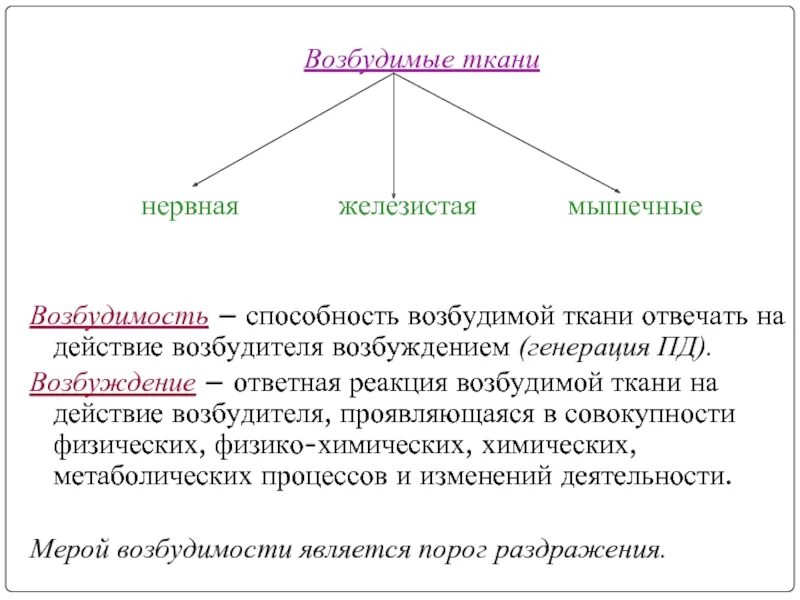 Основные понятия в физиологии возбудимых тканей. Функции возбудимых тканей физиология. Возбудимые ткани это. Основные физиологические свойства возбудимых тканей. Свойства возбудимых клеток и тканей.