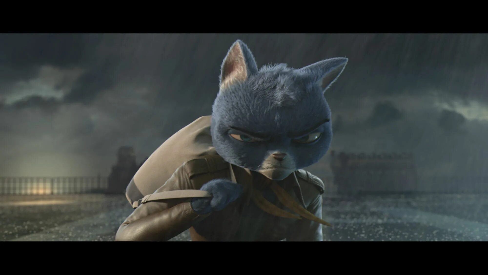 Кот под прикрытием (2019). Кот под прикрытием 2021. Кот под прикрытием (2019). Кот под прикрытием миа. Кот под прикрытием 2021.