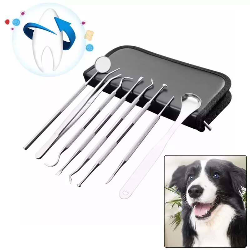 Инструменты для чистки зубов собакам. Скребок для чистки зубов у собак. Инструмент для чистки зубного камня у собак.