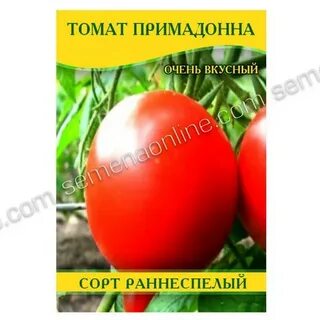 Сорта томатов примадонна отзывы
