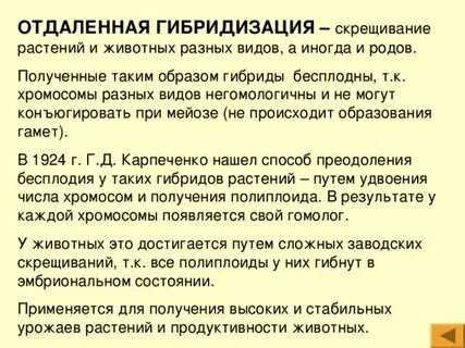 Бесплодные гибриды