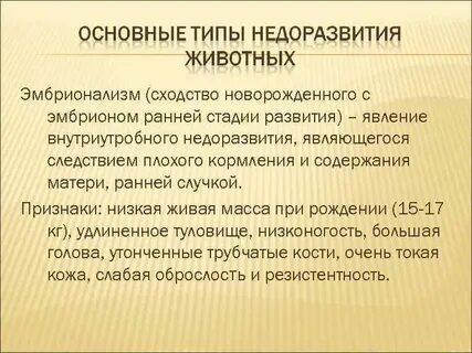 Ранний этап развития явления 7 букв