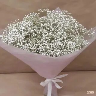 Сколько гипсофилы букет