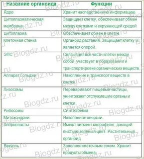 Строение живой клетки таблица 8 класс
