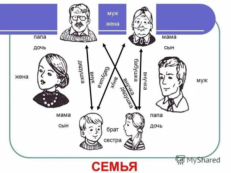 Названия родственников для детей. Названия членов семьи. Родственные отношения для детей.