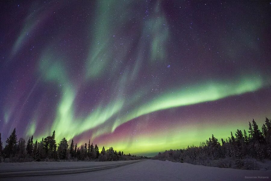 кандалакша северное сияние. северное сияние кольский полуостров. кандалакша полярные. лентообразное полярное сияние. северное сияние в заполярье.