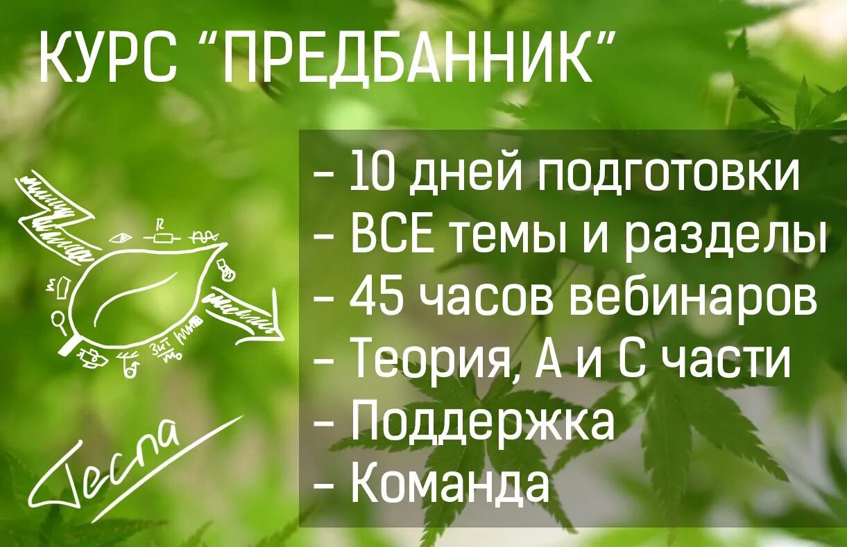 Умскул предбанник стоимость 2024. Предбанник УМСКУЛ. Предбанник ЕГЭ. Предбанник по биологии. Предбанник ЕГЭ Обществознание.