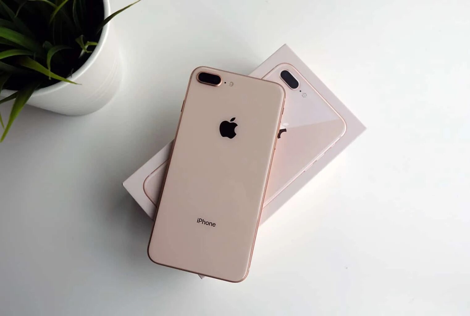 Новый 8 plus. Iphone 8 Plus. Iphone 8 Plus 64gb. Iphone 8 Plus Gold. Iphone 8 Plus 64gb Gold.