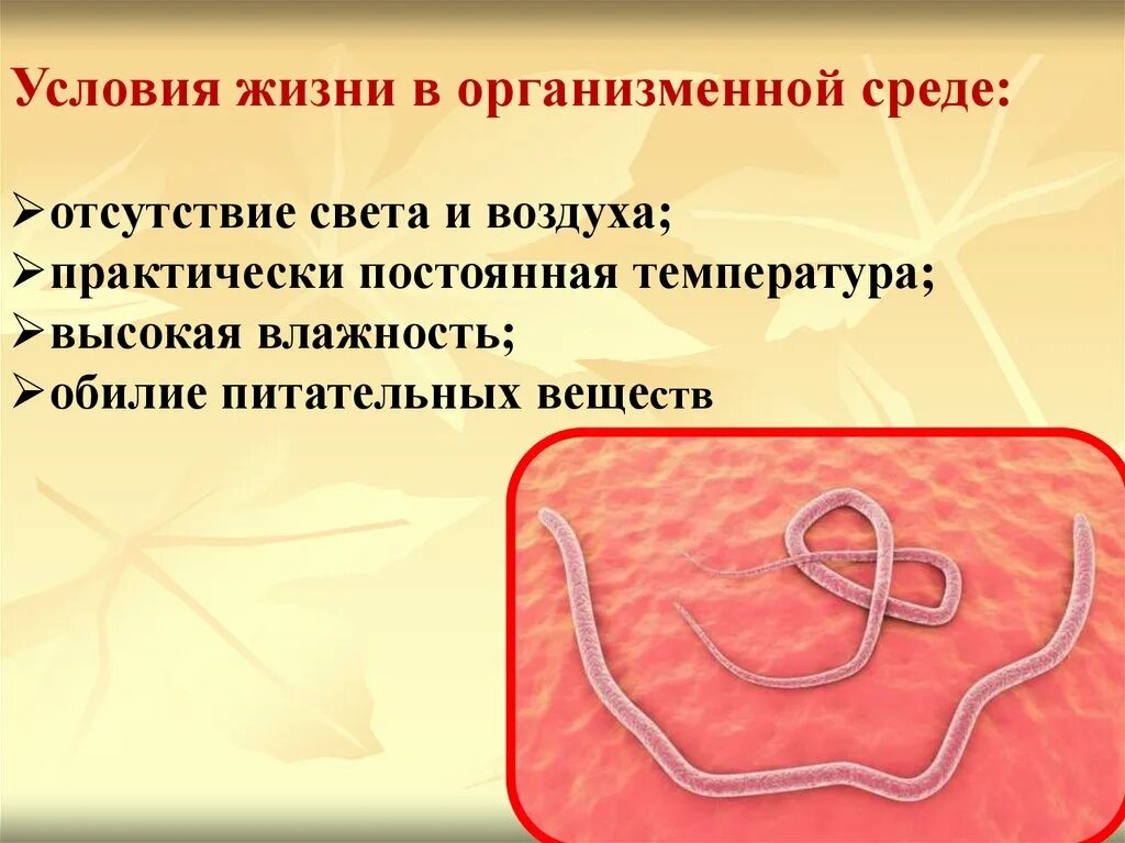 Организменная среда тест 5 класс. Адаптация к организменной среде. Организменная среда приспособления. Организмы организменной среды. Организменная среда обитания.