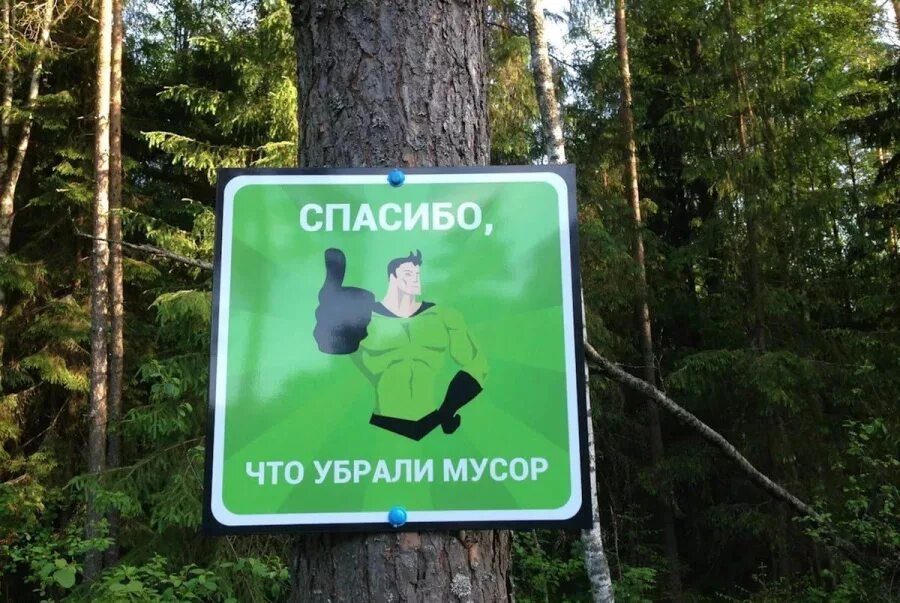 Мусорить статья. Плакат не мусорить на природе. вывеска в лесу. лесная табличка.