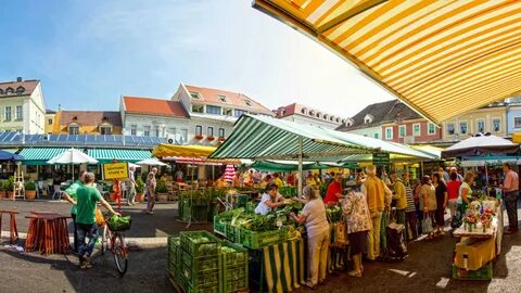 Market visit