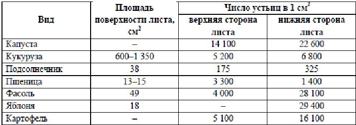 У плавающих листьев водных растений устьица