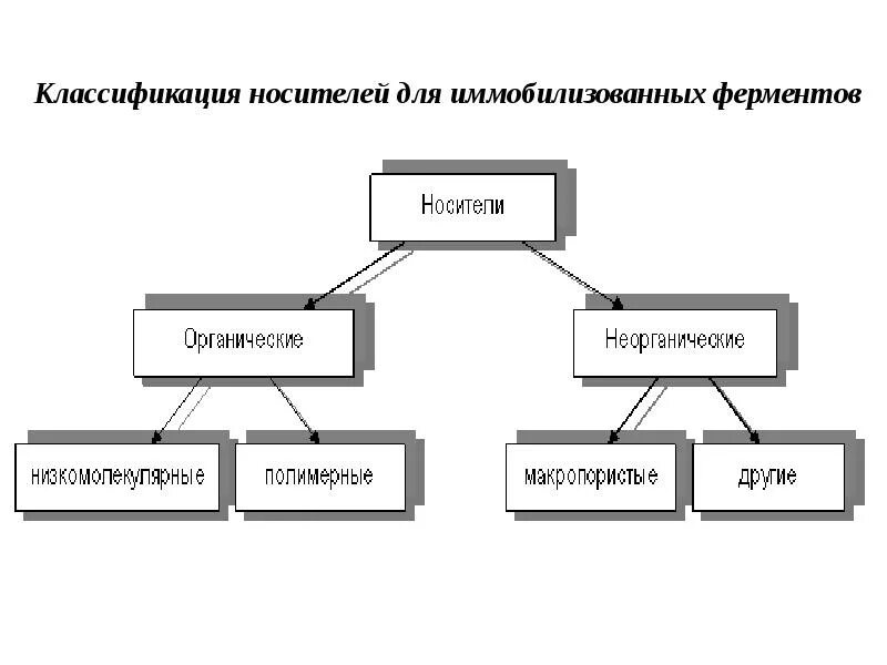 Носители группы 1. Носители иммобилизованных ферментов. Иммобилизованные ферменты схема. Классификация носителей ферментов. Носители для иммобилизации ферментов.