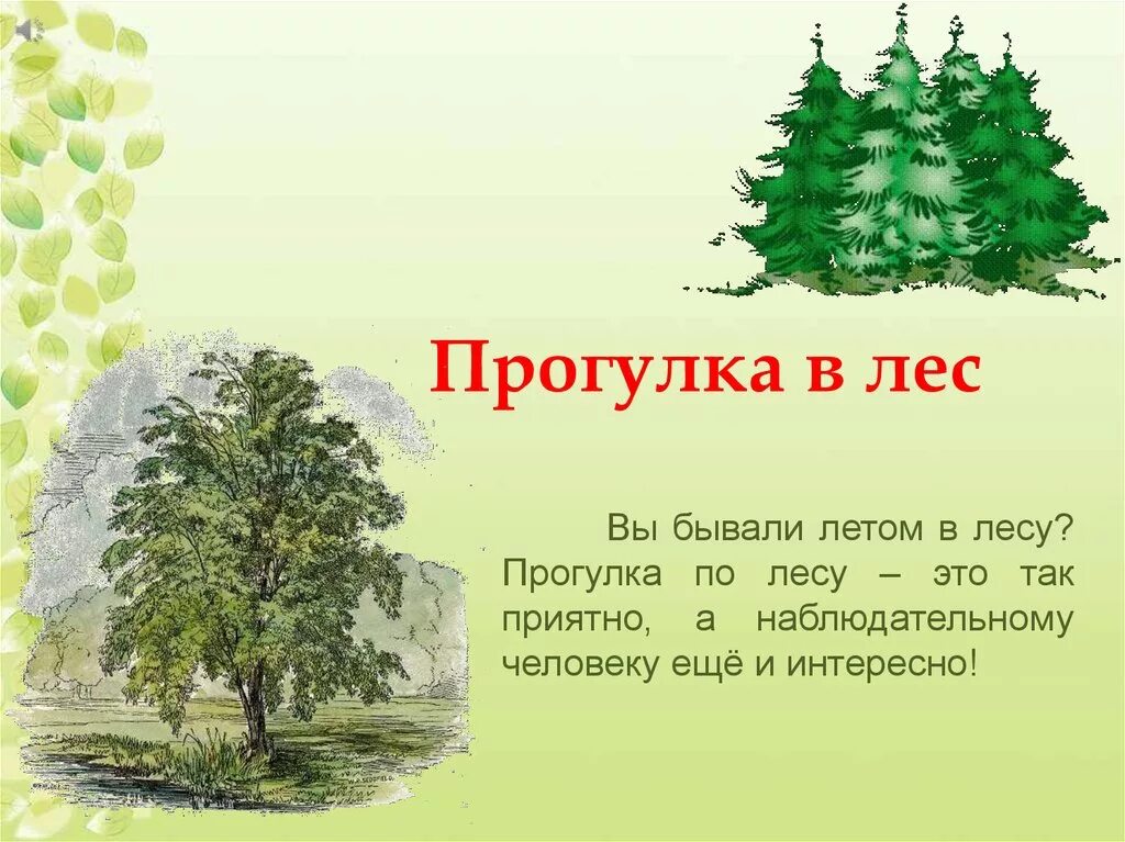 План как был в лесу летом. Презентация на тему лес. Рассказ прогулка по лесу. Стих про лес летом. Стихи про лесную прогулку.