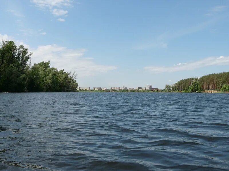 Река большой черемшан в ульяновской области. Черемшан димитровград. Река черемшан димитровград. Река черемшан димитровград. Река черемшан димитровград.