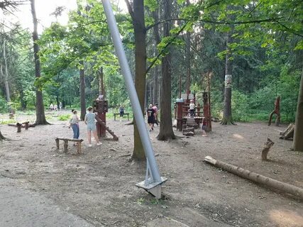 Королев лес