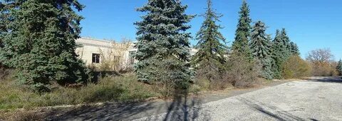 Подслушано дубовка волгоградская