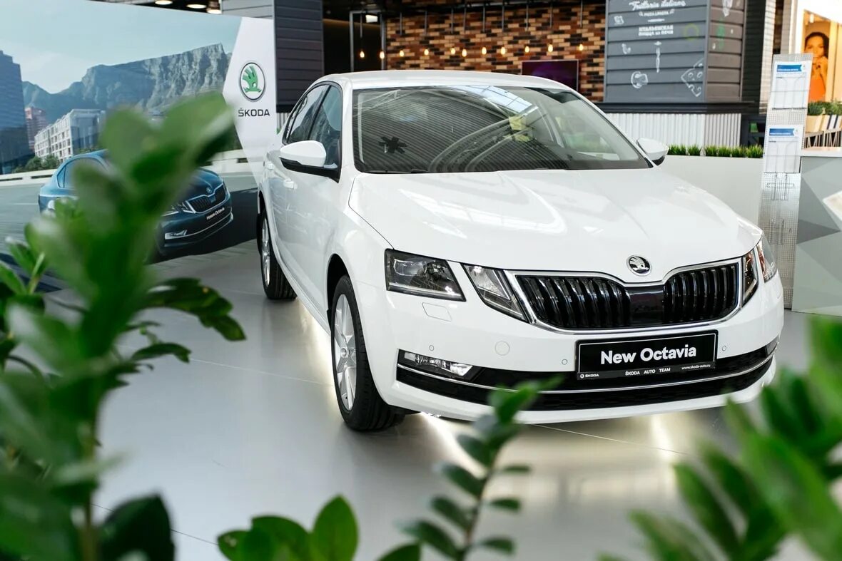 Skoda Octavia 2022. Купить октавию в минске