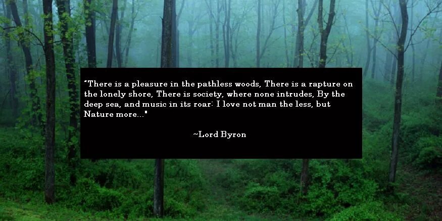 There is a pleasure in the pathless Woods. Pathless Life. There is a man in the Woods. Людей люблю природа ближе мне Байрон на английском.